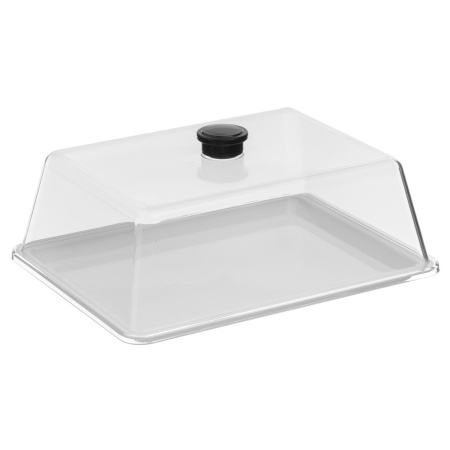 Крышка 27*21 см. h=9 см. поликарбонат, прозрачная (поднос 76859,76843,76851) GP /1/12/ ВДОХНОВЕНИЕ