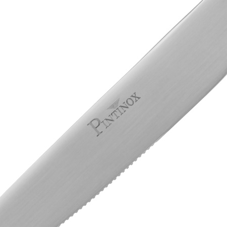 Нож столовый Скай Сатин 18/10  4 мм 22,8 см. Pinti /12/